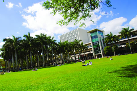 University Green